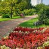 Výlet do kúpeľného mestečka nimnica - 370604315_1403769003684822_1099280982012482696_n