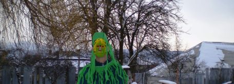 Karneval 2013 - Pb160026