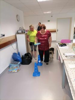Canisterapia - 494691197_633174069694654_95798600001310182_n