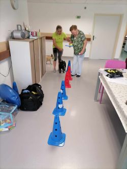 Canisterapia - 495264193_594414963019732_7906721298380547732_n