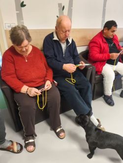 mikulasska_canisterapia (2)