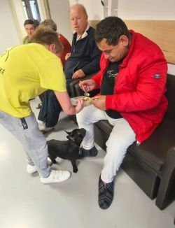 mikulasska_canisterapia (5)