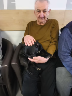 canisterapia030326 (1)