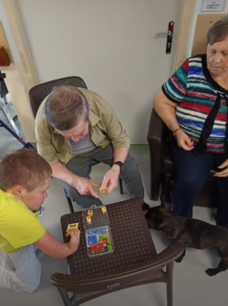 canisterapia030326 (2)