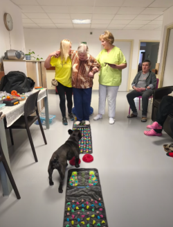 canisterapia090226 (1)