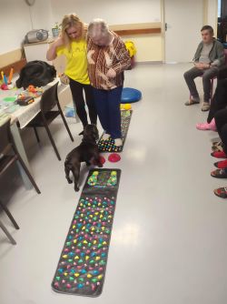 canisterapia090226 (2)