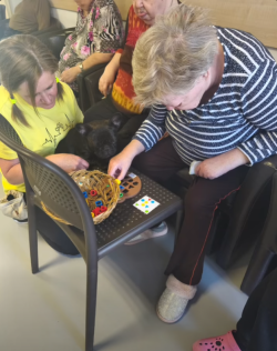 canisterapia 090326 (1)