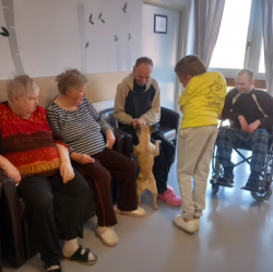 canisterapia 090326 (2)