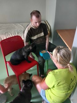 Canisterapia - 449962325_454411200901871_3868774301334537723_n