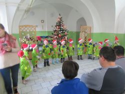 IMG_2447