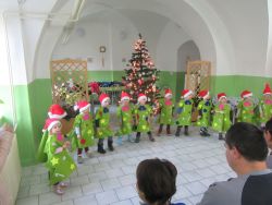 IMG_2448