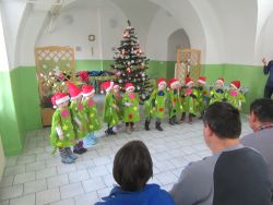 IMG_2454